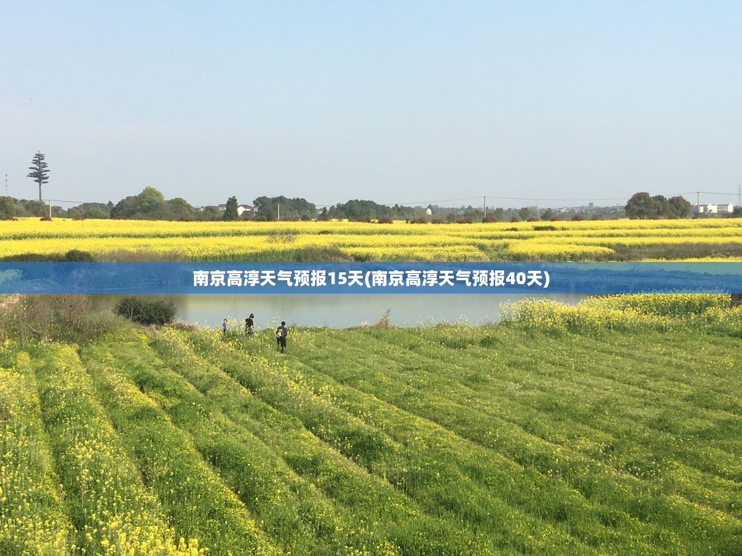南京高淳天气预报15天(南京高淳天气预报40天) 南京高淳天气预报15天(南京高淳天气预报40天)