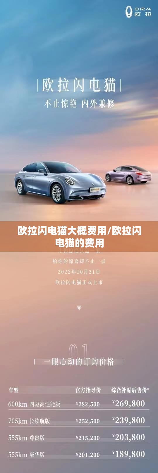欧拉闪电猫大概费用/欧拉闪电猫的费用