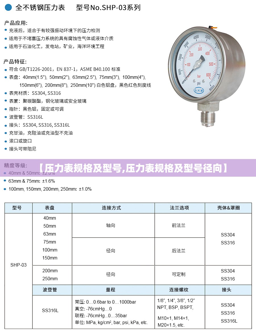 【压力表规格及型号,压力表规格及型号径向】