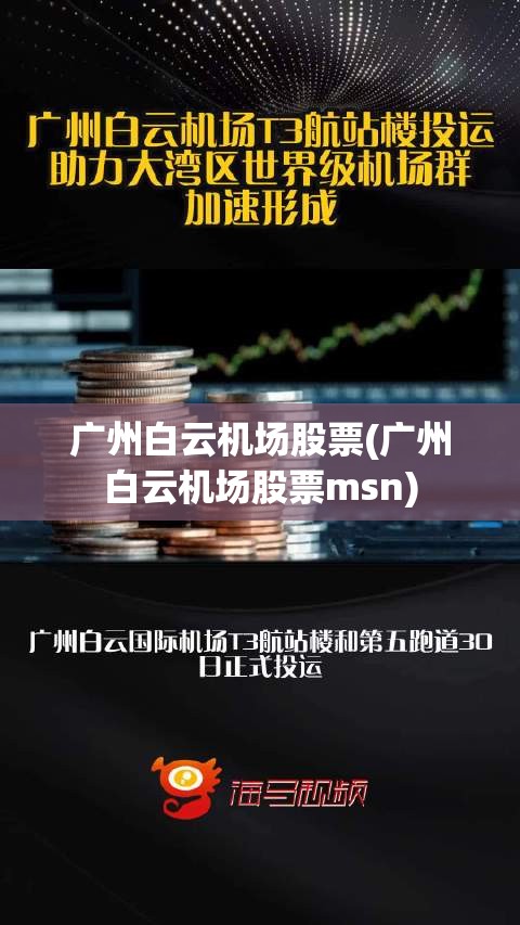 广州白云机场股票(广州白云机场股票msn)