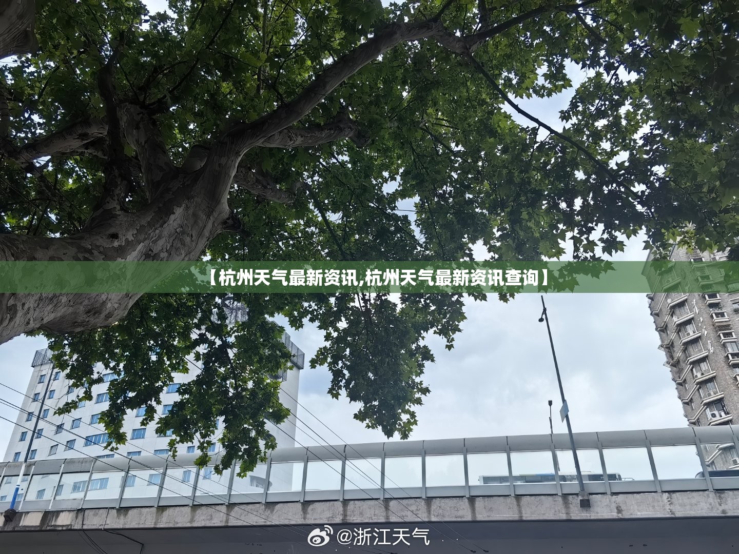 【杭州天气最新资讯,杭州天气最新资讯查询】