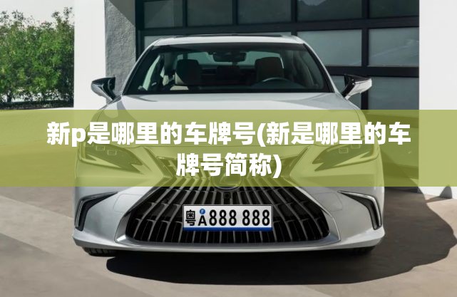 新p是哪里的车牌号(新是哪里的车牌号简称)