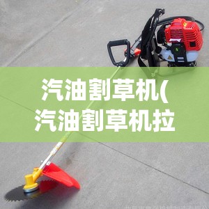 汽油割草机(汽油割草机拉不响)
