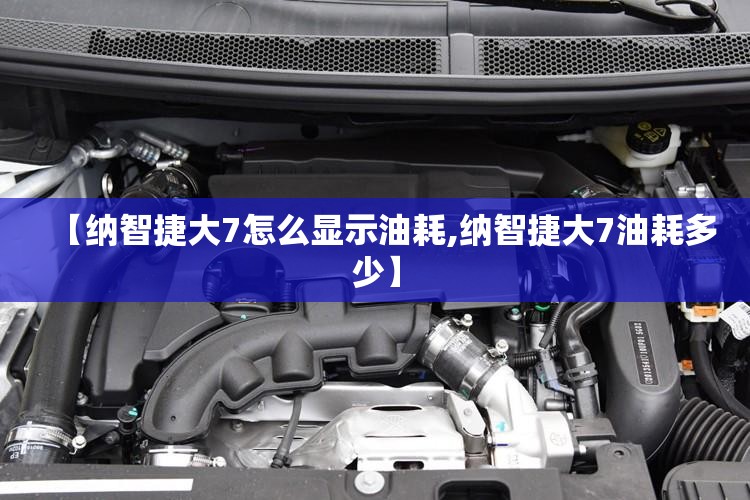 【纳智捷大7怎么显示油耗,纳智捷大7油耗多少】
