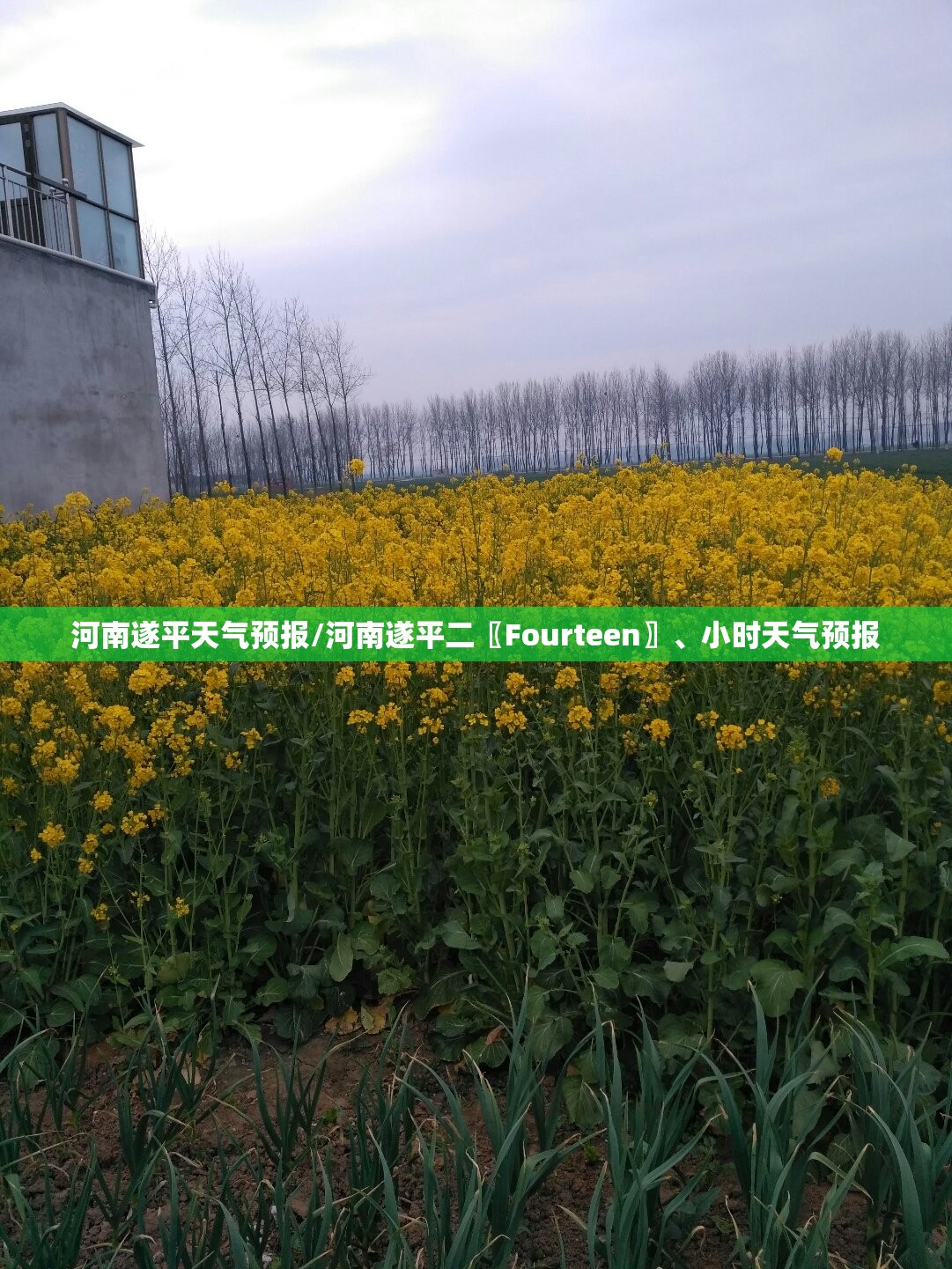 河南遂平天气预报/河南遂平二〖Fourteen〗	、小时天气预报