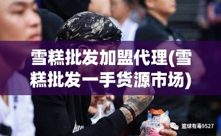 雪糕批发加盟代理(雪糕批发一手货源市场) 雪糕批发加盟代理(雪糕批发一手货源市场)