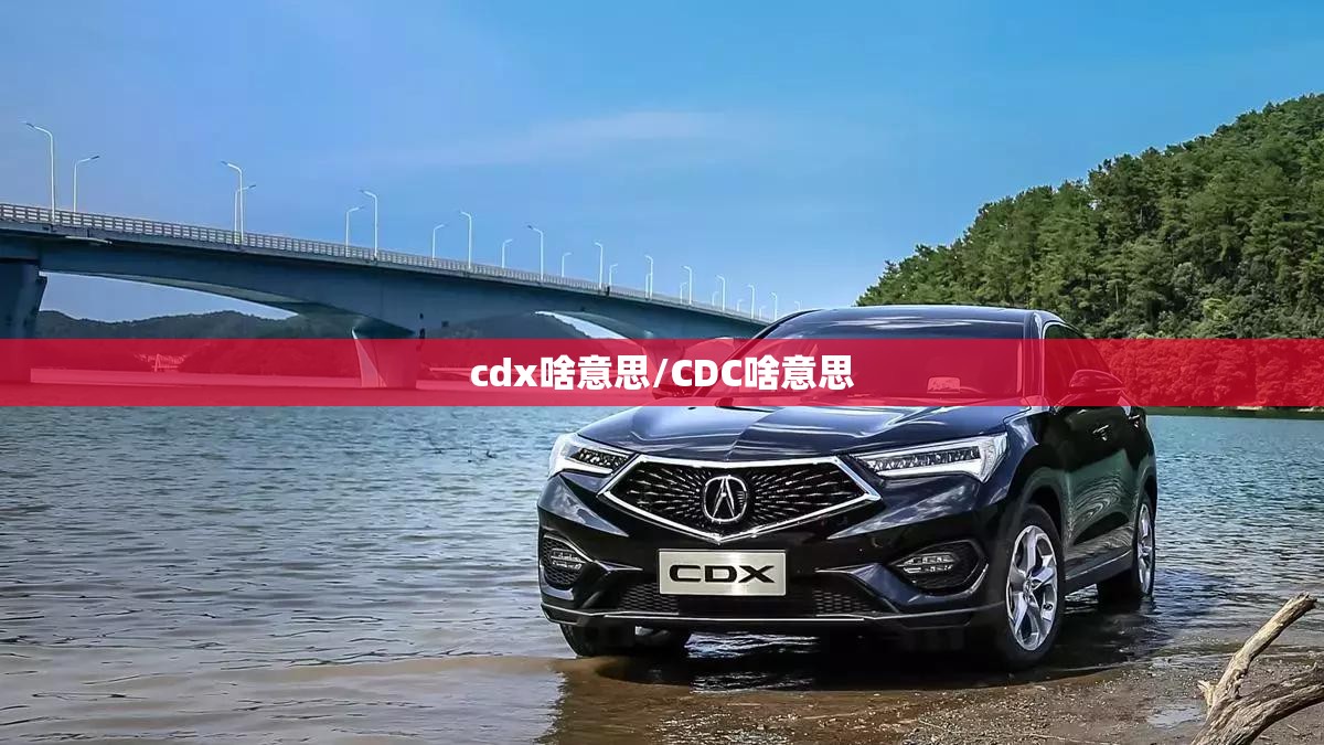 cdx啥意思/CDC啥意思 cdx啥意思/CDC啥意思