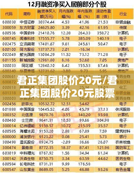 君正集团股价20元/君正集团股价20元股票