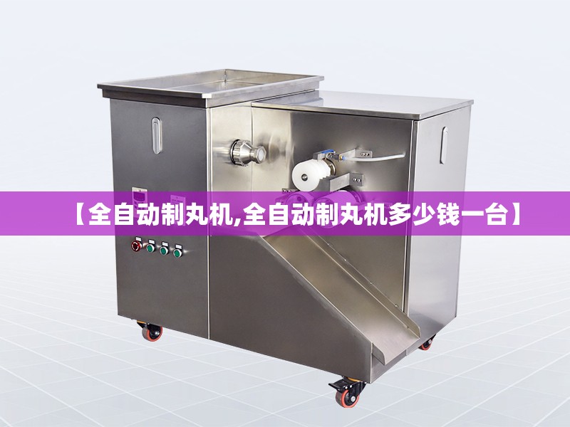 【全自动制丸机,全自动制丸机多少钱一台】