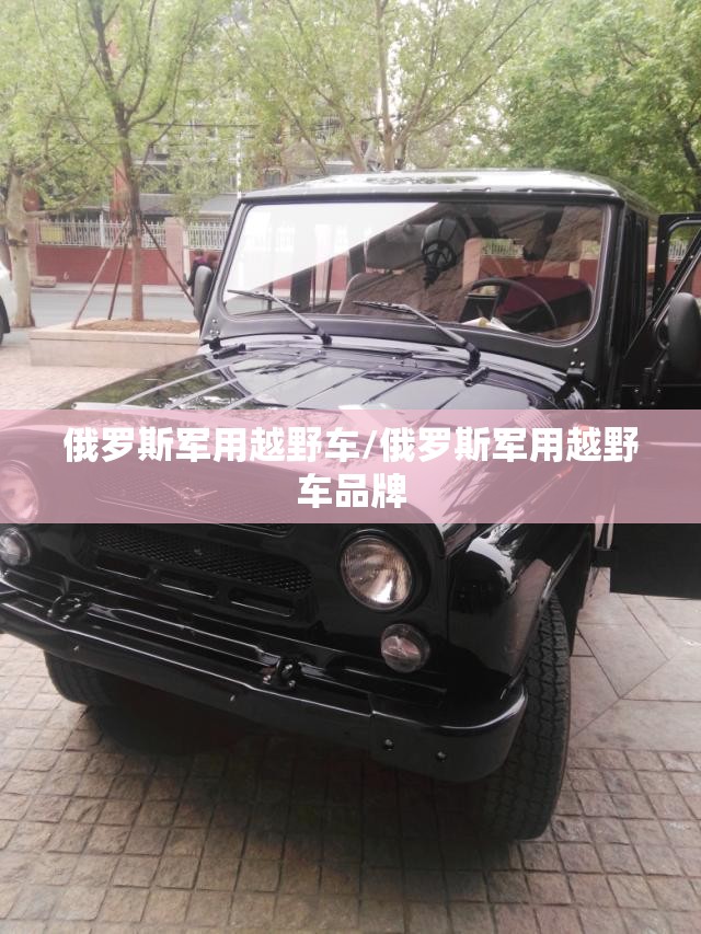 俄罗斯军用越野车/俄罗斯军用越野车品牌