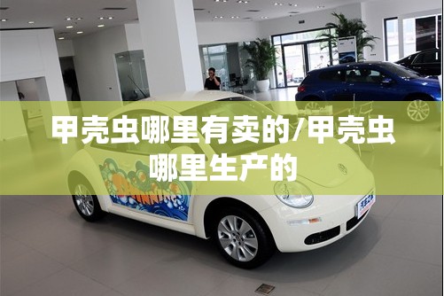 甲壳虫哪里有卖的/甲壳虫哪里生产的