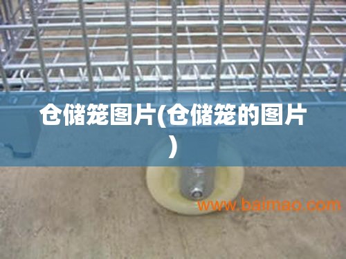 仓储笼图片(仓储笼的图片)