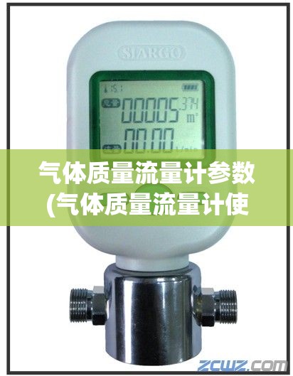 气体质量流量计参数(气体质量流量计使用方法)