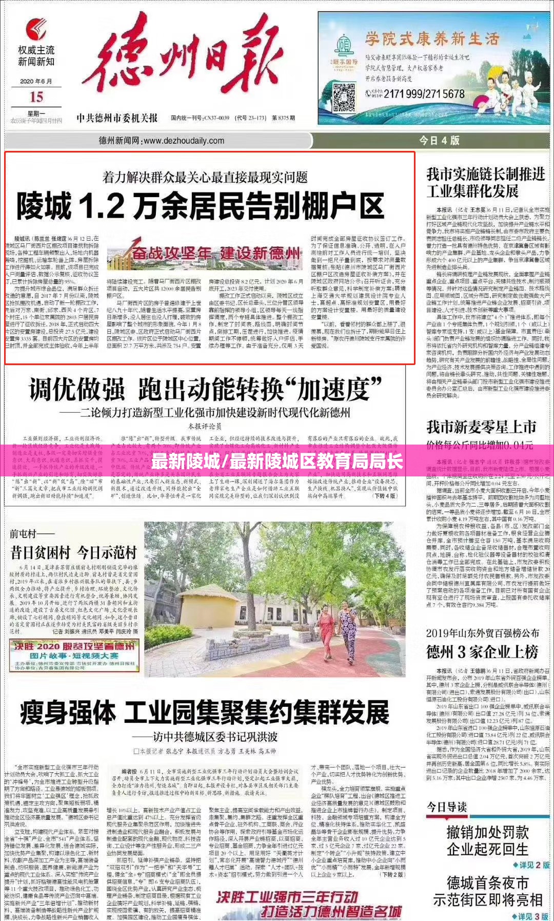 最新陵城/最新陵城区教育局局长
