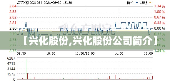 【兴化股份,兴化股份公司简介】