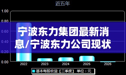 宁波东力集团最新消息/宁波东力公司现状 宁波东力集团最新消息/宁波东力公司现状