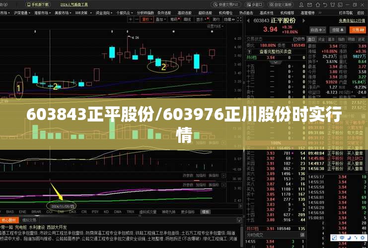 603843正平股份/603976正川股份时实行情