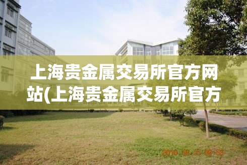 上海贵金属交易所官方网站(上海贵金属交易所官方网站app下载安装)