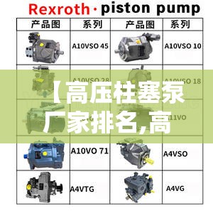 【高压柱塞泵厂家排名,高压柱塞泵型号大全】