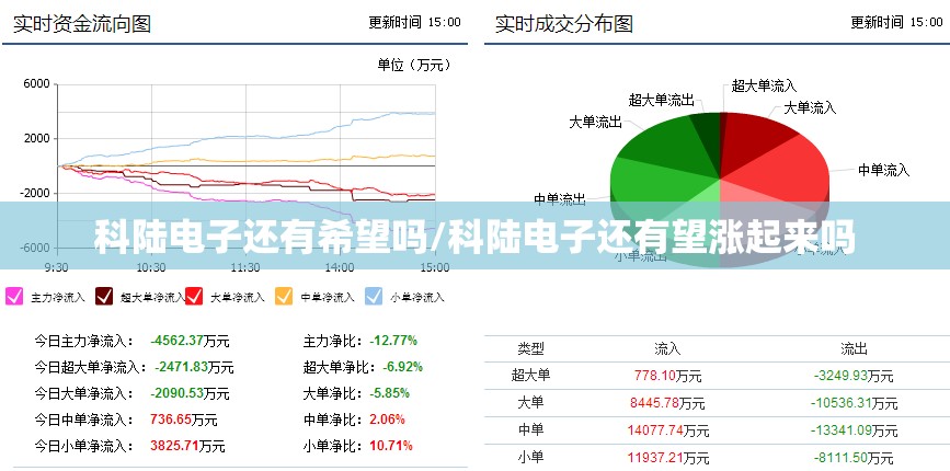 科陆电子还有希望吗/科陆电子还有望涨起来吗