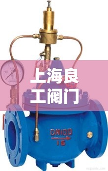 上海良工阀门集团有限公司/上海良工阀门集团有限公司地址