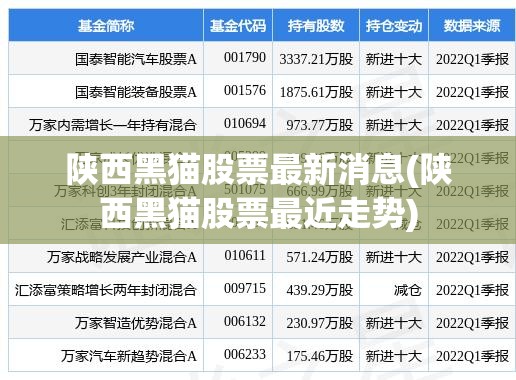 陕西黑猫股票最新消息(陕西黑猫股票最近走势)