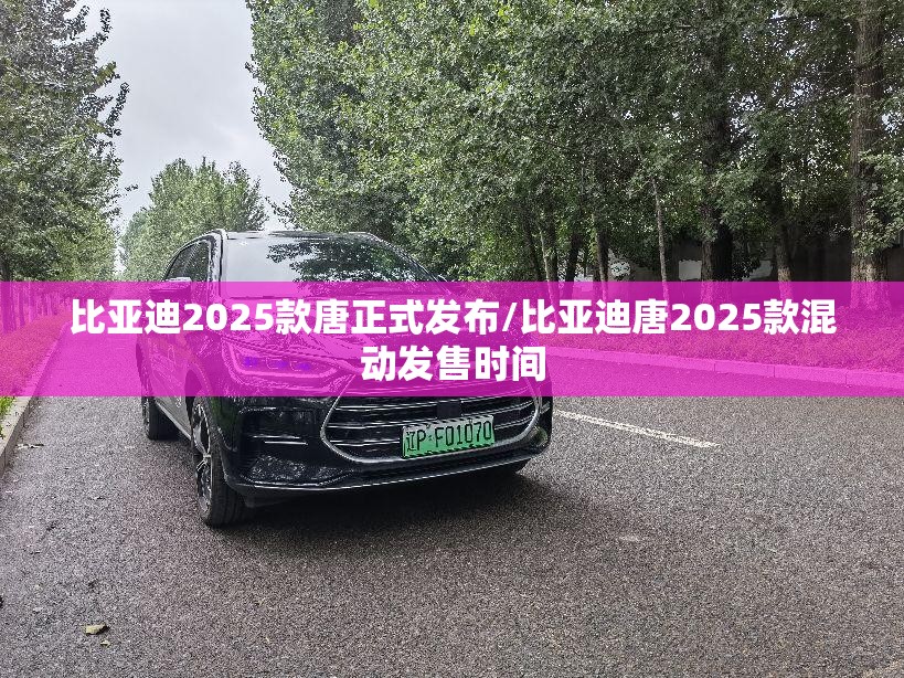 比亚迪2025款唐正式发布/比亚迪唐2025款混动发售时间 比亚迪2025款唐正式发布/比亚迪唐2025款混动发售时间