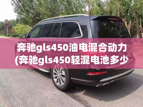奔驰gls450油电混合动力(奔驰gls450轻混电池多少A)