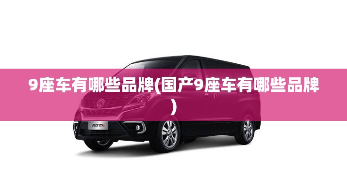 9座车有哪些品牌(国产9座车有哪些品牌)