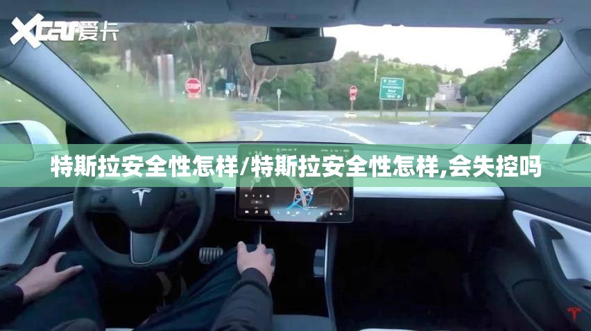 特斯拉安全性怎样/特斯拉安全性怎样,会失控吗