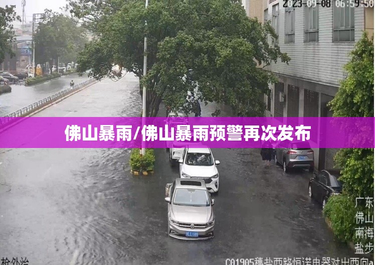 佛山暴雨/佛山暴雨预警再次发布