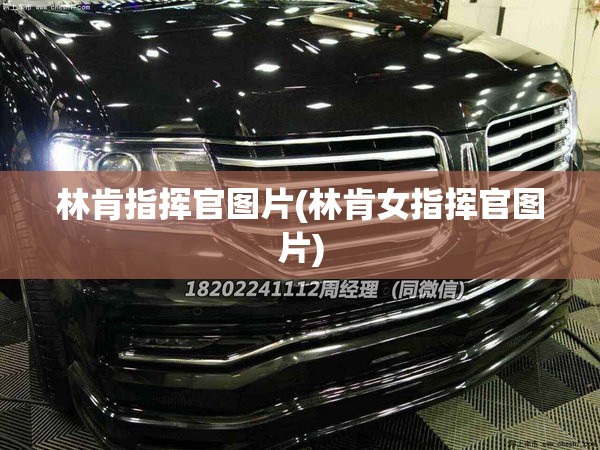 林肯指挥官图片(林肯女指挥官图片)