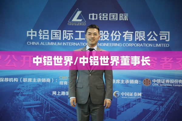 中铝世界/中铝世界董事长