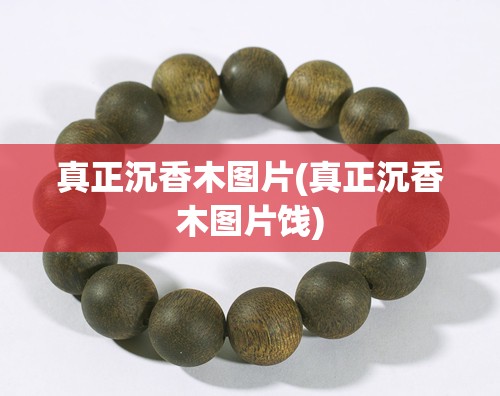 真正沉香木图片(真正沉香木图片饯)