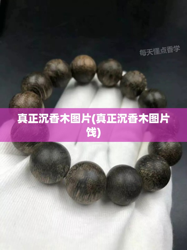 真正沉香木图片(真正沉香木图片饯)