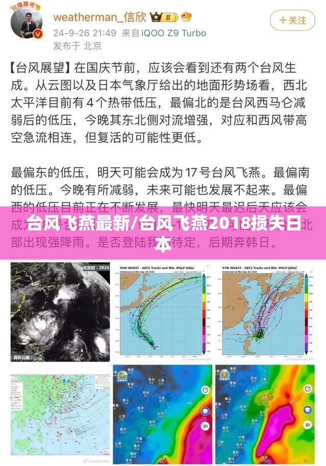 台风飞燕最新/台风飞燕2018损失日本 台风飞燕最新/台风飞燕2018损失日本