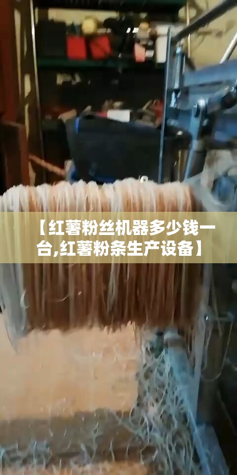 【红薯粉丝机器多少钱一台,红薯粉条生产设备】
