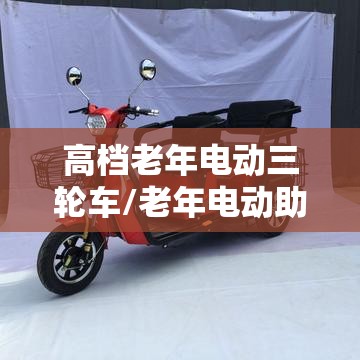 高档老年电动三轮车/老年电动助力三轮车加盟