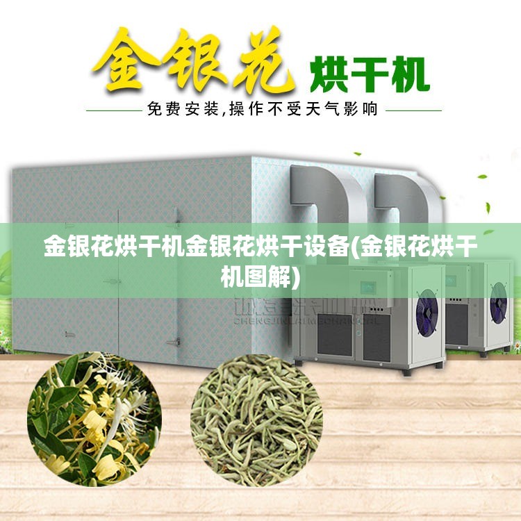 金银花烘干机金银花烘干设备(金银花烘干机图解)