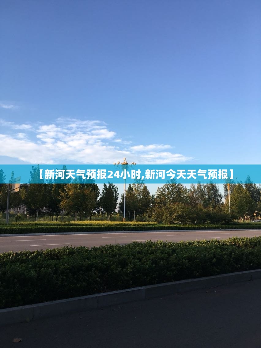 【新河天气预报24小时,新河今天天气预报】