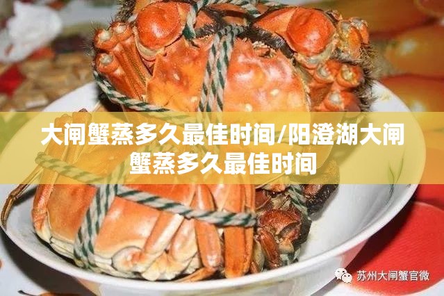 大闸蟹蒸多久最佳时间/阳澄湖大闸蟹蒸多久最佳时间