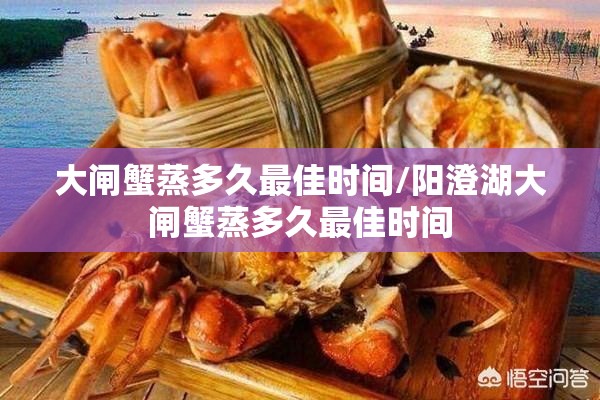 大闸蟹蒸多久最佳时间/阳澄湖大闸蟹蒸多久最佳时间