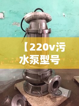 【220v污水泵型号大全,220v污水泵型号一览表】