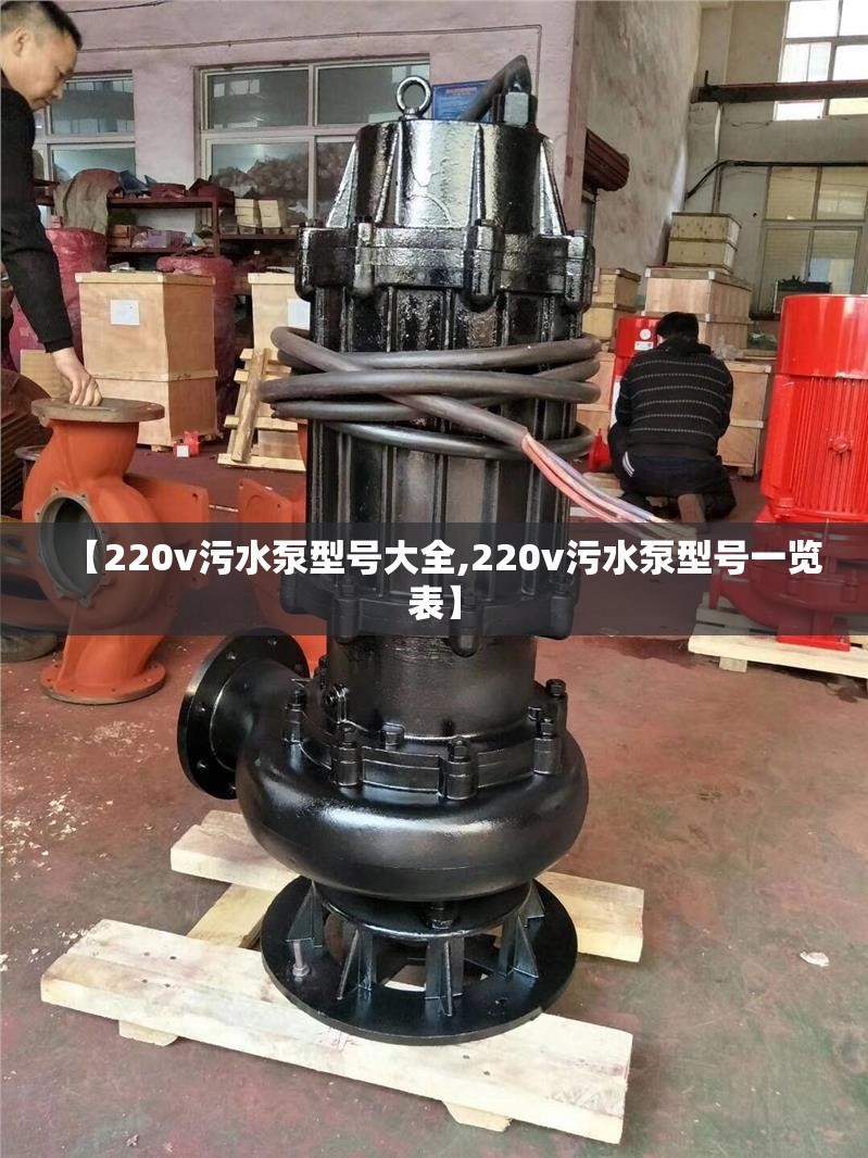 【220v污水泵型号大全,220v污水泵型号一览表】