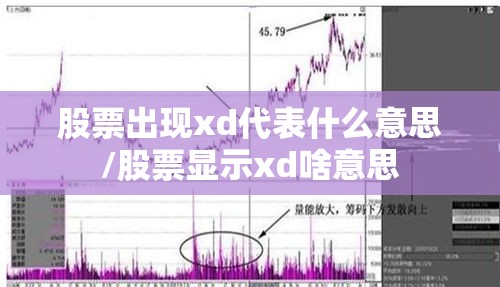 股票出现xd代表什么意思/股票显示xd啥意思
