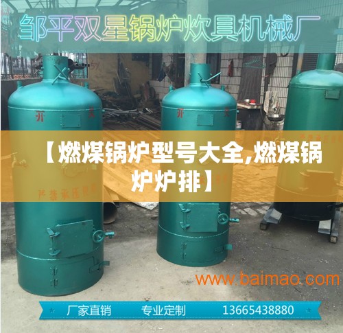 【燃煤锅炉型号大全,燃煤锅炉炉排】