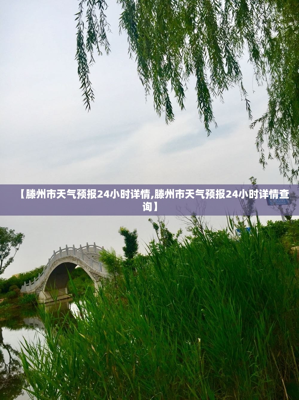 【滕州市天气预报24小时详情,滕州市天气预报24小时详情查询】