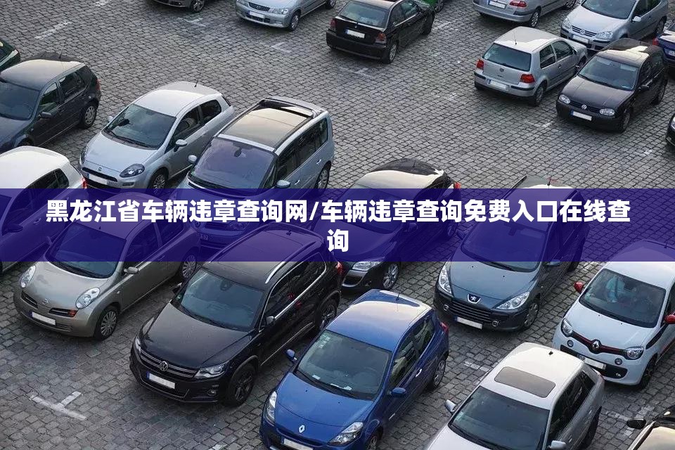 黑龙江省车辆违章查询网/车辆违章查询免费入口在线查询