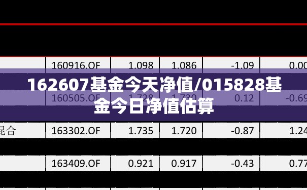 162607基金今天净值/015828基金今日净值估算