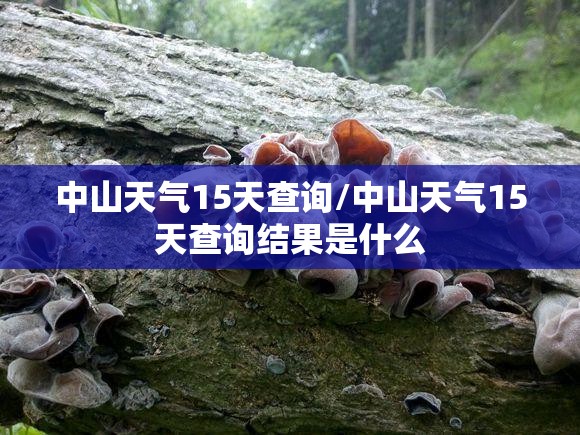 中山天气15天查询/中山天气15天查询结果是什么